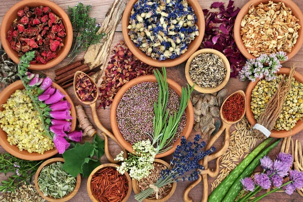 Medicina Plantas Herbales Con Hierbas Flores Para Medicamentos Naturales Curación — Foto de Stock