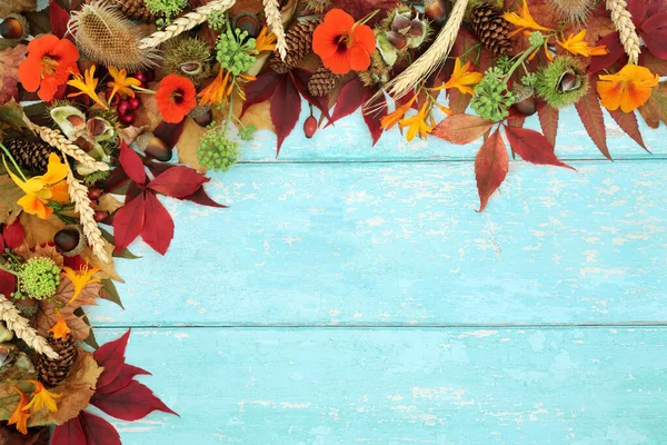 Natural Autumn background border on rustic blue wood with leaves, flowers, grains, nuts, pine cones and berry fruit. Abstract border for Thanksgiving and the Fall season. Top view.