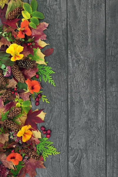 Сельский Осенний Лист Цветок Шишка Сосны Ягодные Фрукты Естественной Абстрактной — стоковое фото