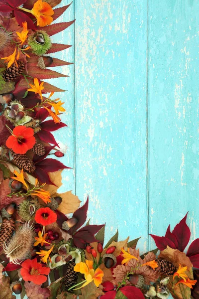 Autumn harvest festival natural traditional background border on rustic blue wood with leaves, nuts and flowers. Seasonal composition for the Fall, Thanksgiving and Halloween. the Fall.