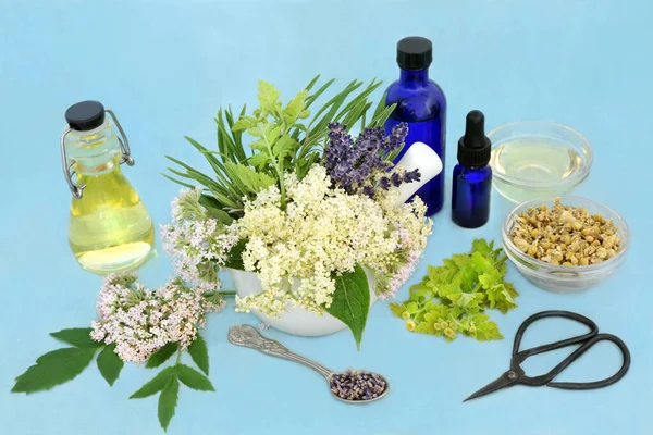 Naturopathic Herbal Plant Medicine Valerian Chamomile Lavender Elder Flower Herbs — Stock Photo, Image