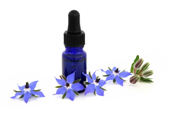 Borage Herb Flowers Essential Oil Bottle Used Natural Alternative Herbal — ストック写真