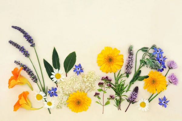 Kolekce Bylin Květin Používá Přírodní Léčivé Bylinné Rostlinné Medicíny Koření — Stock fotografie