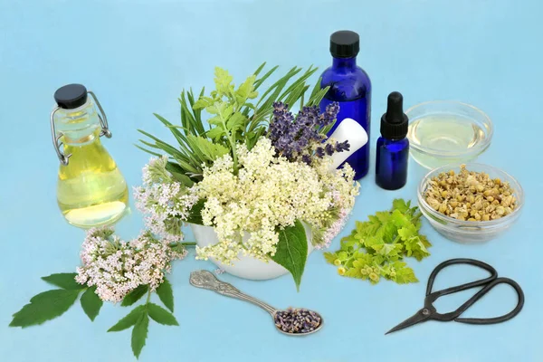 Naturopathic Növényi Gyógynövény Gyógyszer Méh Kamilla Levendula Idősebb Virág Gyógynövények Stock Kép