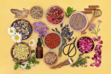 Bitkisel bitki ilaçlarında aromaterapi tedavisinde kullanılan bitki ve çiçek koleksiyonu. Doğal iyileşme için alternatif sağlık hizmeti kavramı. Üst manzara, düz konum benekli sarı arkaplan.