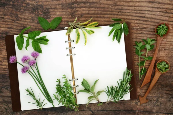 Frische Kräuter Gesunde Gewürze Und Natürliche Pflanzliche Medizin Mit Rezeptbuch — Stockfoto