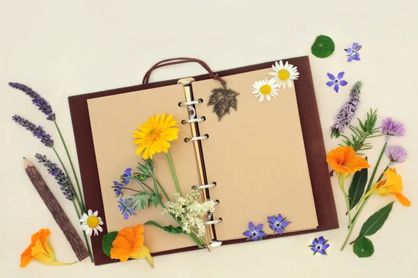 Healing herbs, flowers for botanical nature study with old leather notebook and open blank pages. Flora used in herbal plant medicine alternative flower remedies. On cream background.