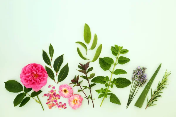 Naturliga Växtbaserade Växter Och Blomsterprodukter Med Örter Och Sommarblommor Används — Stockfoto