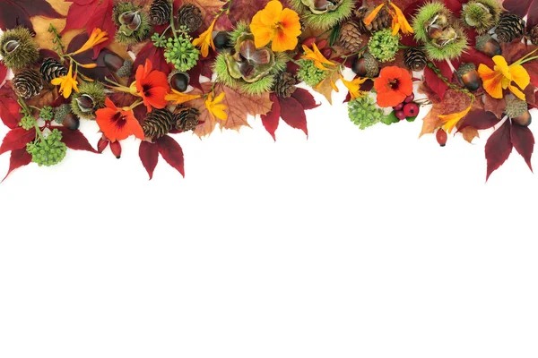 Acción Gracias Otoño Borde Fondo Con Hojas Nueces Flores Fruta — Foto de Stock