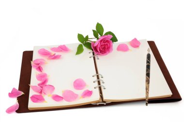 Valentines Day romantic composition with pink rose, loose petals,  leather bound notebook and old ink pen on white background with copy space for text.