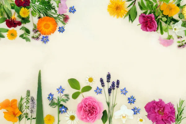 Helande Blommor Och Örter För Växtbaserade Botemedel Krydda Och Mat — Stockfoto