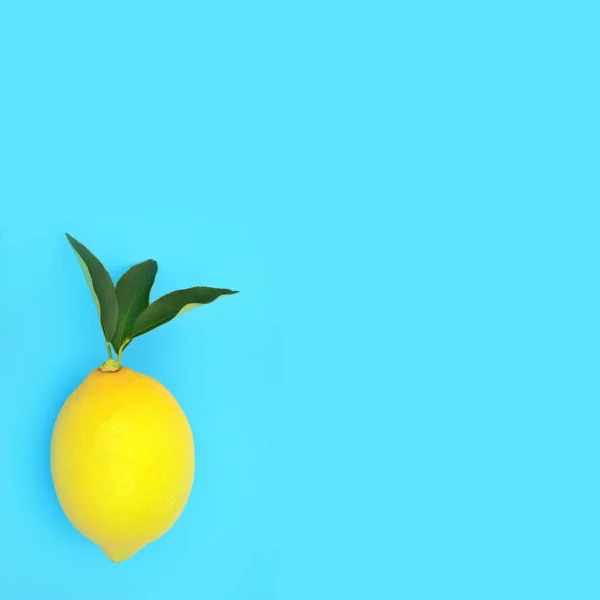Lemon Fruit Green Leaf Sprig Blue Background Abstract Minimal Design — Stockfoto