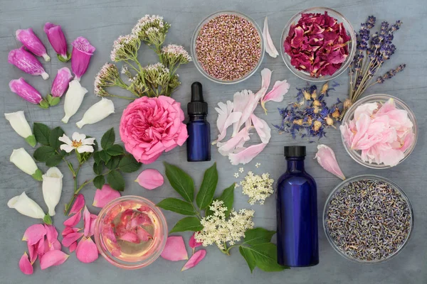 Herbs Flowers Used Naturopathic Herbal Plant Medicine Flower Remedies Natural — Stockfoto