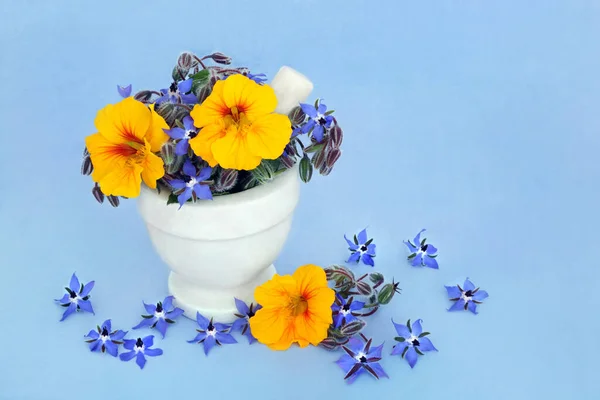 Borage Nasturtium Kruid Bloemen Een Vijzel Immuunstimulerende Ontstekingsremmende Kruiden Gebruikt — Stockfoto