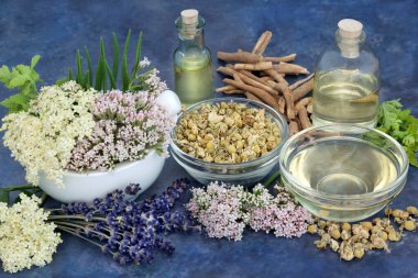 Uykusuzluk ve endişeyi tedavi etmek için bitki ve çiçekleri kediotu, lavanta, yaşlı çiçeği, ashwagandha ve doğal bitkisel ilacın hazırlanmasında kullanılan papatya. Sakinleştirici olarak kullanılır. Benekli mavi.
