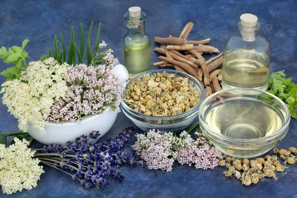 Herbs Flowers Treat Insomnia Anxiety Valerian Lavender Elderflower Ashwagandha Chamomile — Stock Photo, Image