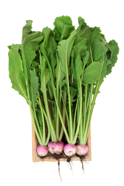 木の箱の中で健康的な新鮮な有機カブの野菜 免疫系は 白い背景に繊維 抗酸化物質 ビタミンやミネラルが高い健康食品の概念を高める — ストック写真