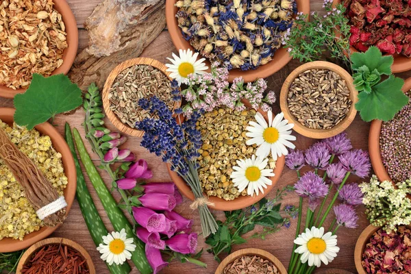 Natural herbs and edible flowers for herbal plant medicine and flower remedies. Alternative nature plant based health care concept. Top view, flat lay on rustic wood background.