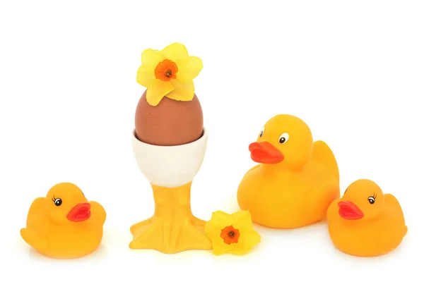 新鲜蛋杯中的煮鸡蛋 用黄色塑料玩具鸭和春天水仙花作成的健康早餐作曲 基于白色的复活节春季保健食品概念的异想天开的设计元素 — 图库照片