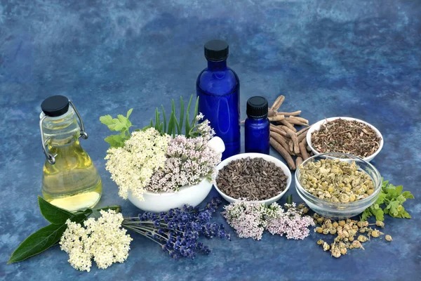 Essential Oil Preparation Herbs Valerian Ashwagandha Lavender Elderflower Johns Wort — Stock Photo, Image