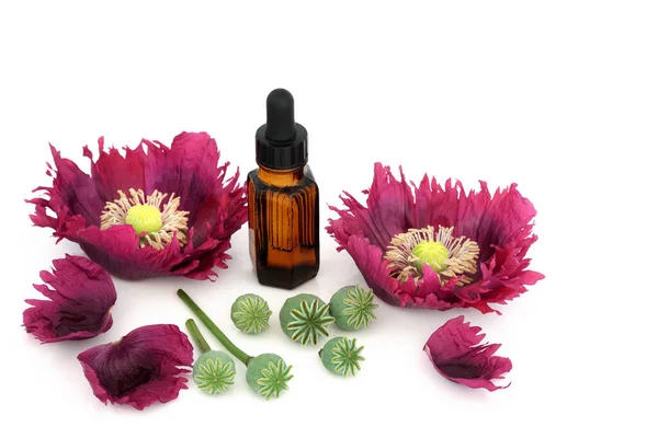 Poppy Flowers Seed Heads Tincture Bottle Seeds Used Alternative Medicine — Stock Photo, Image