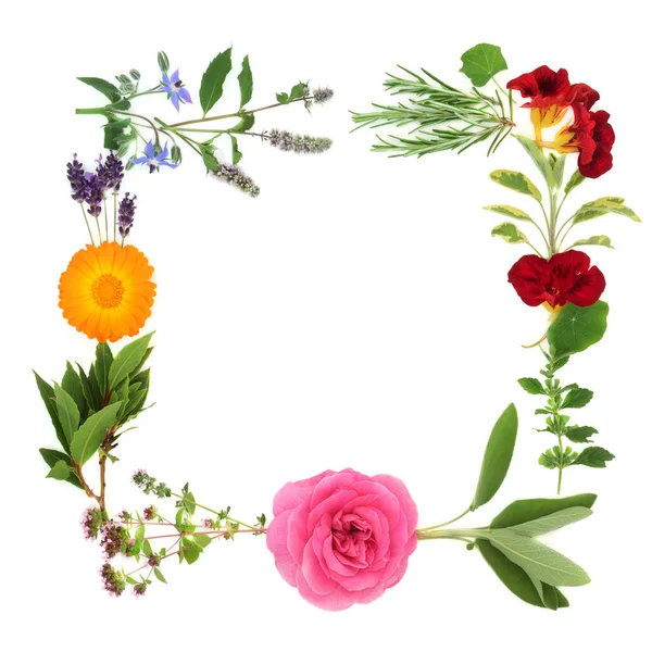 アブストラクトハーブや花で花夏の花輪 漢方薬 調味料 食品の装飾に使用されるすべての植物 白い背景の正方形の形状のデザインで コピースペース — ストック写真