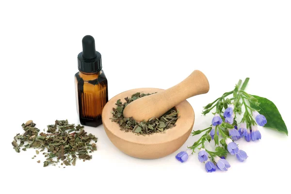 Lungwort Herb Leaves Flowers Used Herbal Plant Medicine Treat Lung — Stock Photo, Image