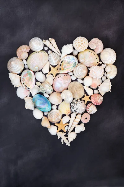 Kalp Şeklinde Çelenk Benekli Gri Arka Planda Deniz Kabuğu Koleksiyonu — Stok fotoğraf