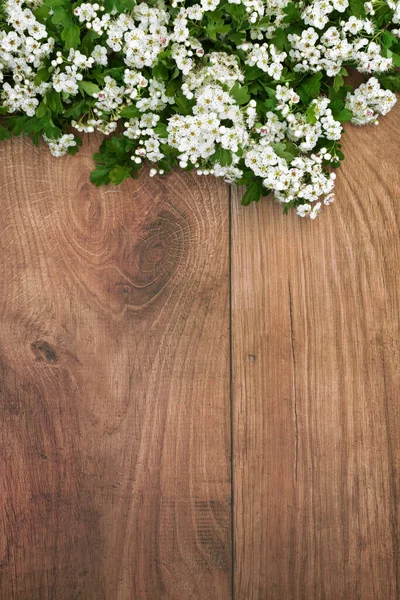春天山楂花的背景在乡村木材的边缘 花叶用于天然草本植物药物治疗各种心脏和血压问题 自然保健概念 — 图库照片