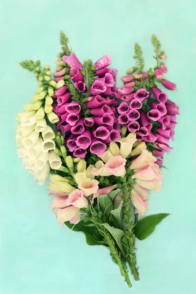 Summer Foxglove Wildflower Bouquet Purple Cream Pink Colours Used Herbal — Stockfoto
