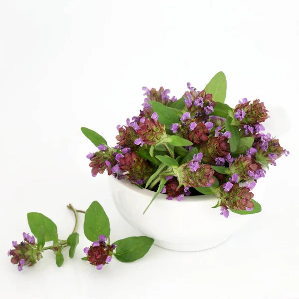 Self Heal Herb Herbal Plant Medicine Mortar Treats Diarrhoea Colic — Stock Photo, Image