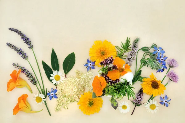Sommar Örter Blommor Och Vilda Blommor Som Används Växtbaserade Medicin — Stockfoto