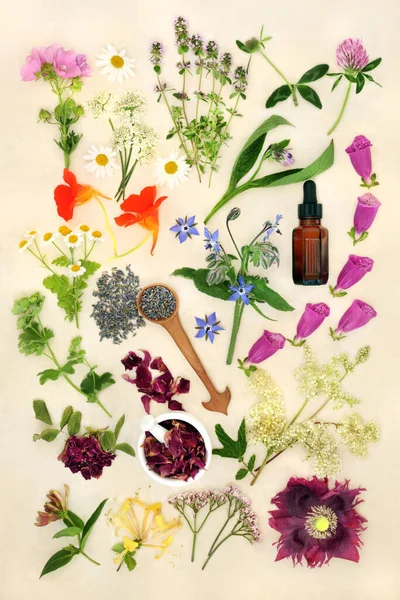アロマセラピー天然ハーブ植物医学治療のための花 野の花やハーブとエッセンシャルオイルの準備 代替自然健康とウェルネスの概念 クリームの背景のトップビュー — ストック写真