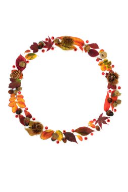 Autumn and Thanksgiving wreath abstract nature concept with leaves, red berries and nuts. Minimal natural  abstract Fall arrangement. On white background. Flat lay copy space.