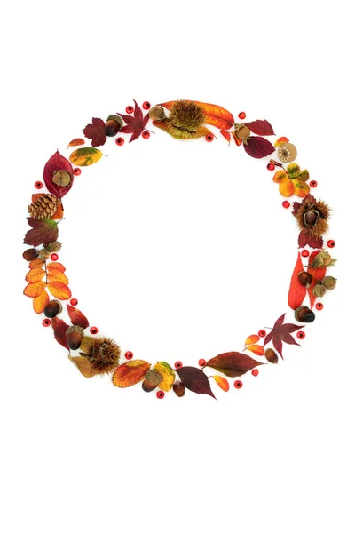 Autumn Thanksgiving Wreath Abstract Nature Concept Leaves Red Berries Nuts — Fotografia de Stock