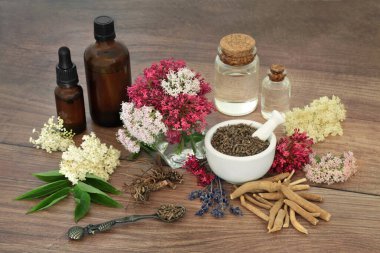Kediotu kökü, lavanta, yaşlı çiçek ve ashwagandha ile Homeopatik bitkisel ilaç hazırlığı. Doğal alternatif ilaçlar için. Köy tahtasında
