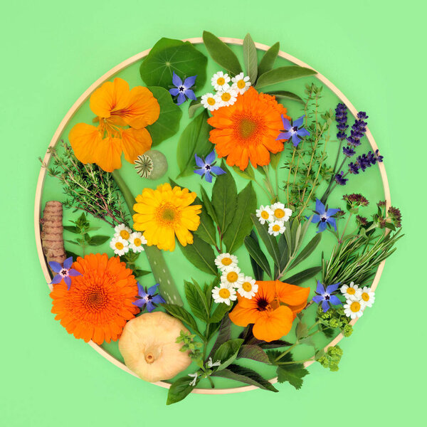 Herbs and edible flowers healthy food seasoning. Summer flora also used in herbal plant medicine and decoration. Nature natural eco symbol design on green with wooden frame.