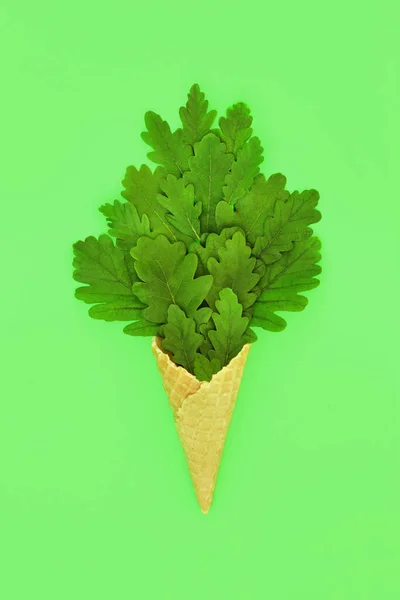 Surreal Summer Oak Tree Leaf Ice Cream Waffle Cone Abstract — Stok fotoğraf