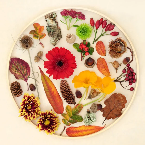 Autumn nature leaves, flowers, fruit and natural objects design composition. Collection for the Fall Thanksgiving season in a circular wooden frame. Flat lay, top view on hemp paper background.