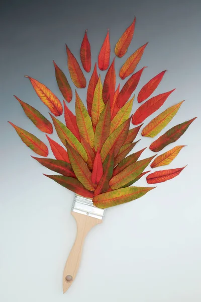 Autumn Paintbrush Composition Vivid Red Rhus Typhina Leaves Surreal Nature —  Fotos de Stock