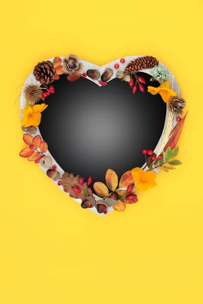 Heart shaped Autumn harvest festival  frame, leaves, flowers, berries, grain and nuts. Thanksgiving and Halloween nature composition. On yellow background with gradient copy space.