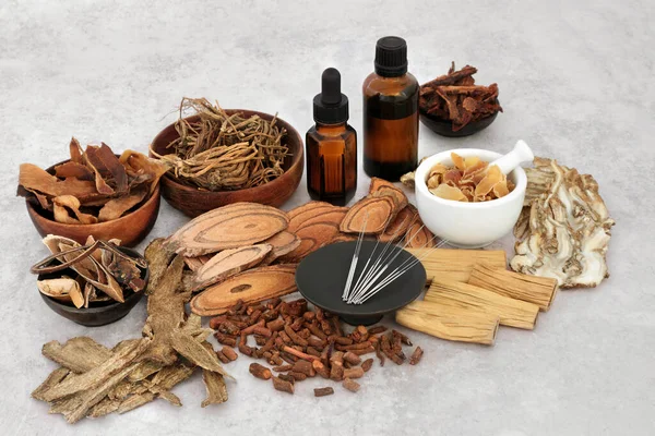 Chinese Alternative Acupuncture Medical Treatment Herbs Spice Used Herbal Plant — Foto de Stock