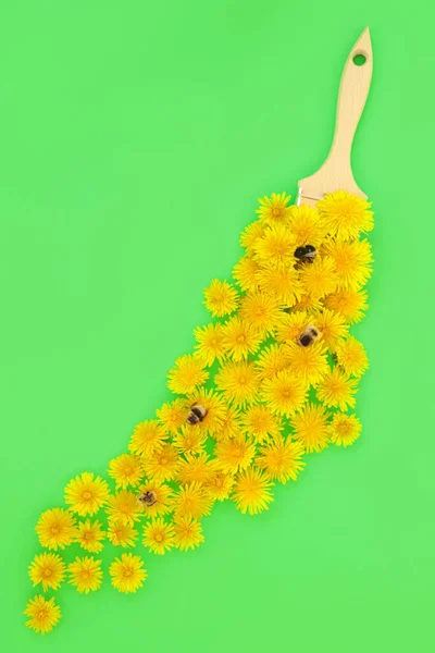 Dandelion Flower Bee Pollination Concept Various Bees Paint Brush Abstract — Stock fotografie