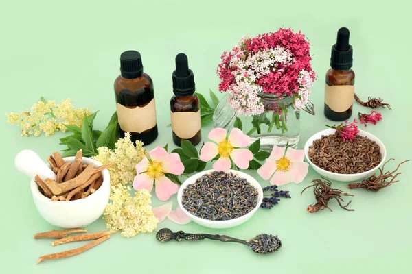 Healing herb and flower preparation for naturopathic herbal plant based medicine with ashwagandha ginseng, valerian, elderflower, wild rose and lavender. On green background.