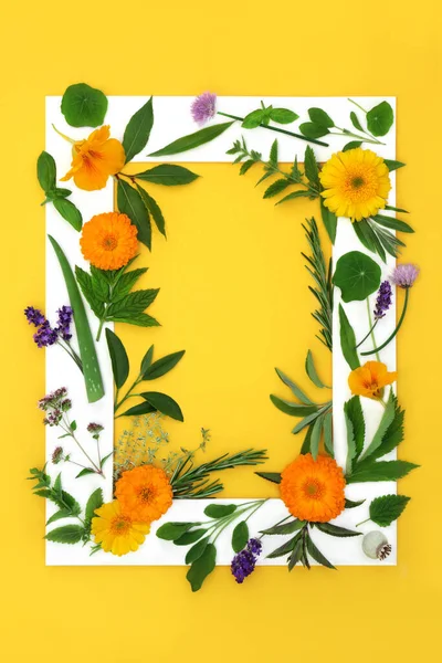 Edible Flower Herb Background Border Healthy Natural Food Seasoning Decoration — Stockfoto