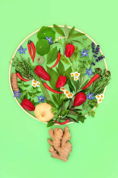 Herbal Food Seasoning Abstract Tree Frame Concept Shape Edible Flowers — Foto de Stock