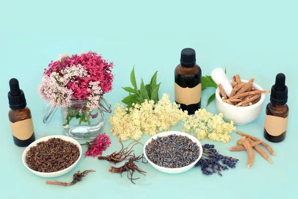 Herbal flower remedy plant medicine preparation for naturopathic healing with valerian root, lavender, elderflower and ashwagandha. For natural alternative remedies. On blue.