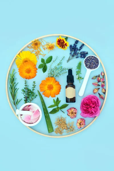 Healing herbs and flowers for natural plant based skincare beauty treatments with aromatherapy essential oil. Can ease psoriasis, eczema, acne and wounds. Circular design on blue background.