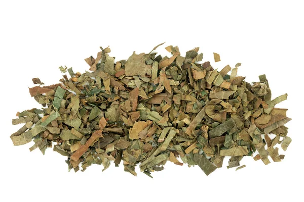 Loquat Leaf Herb Chinese Herbal Plant Medicine Treats Coughs Bronchitis — стокове фото