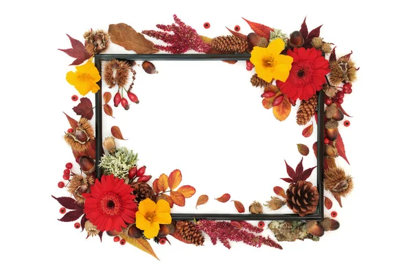 Symbols Autumn Season Abstract Background Frame Nature Concept Leavers Flowers — Stock Photo, Image